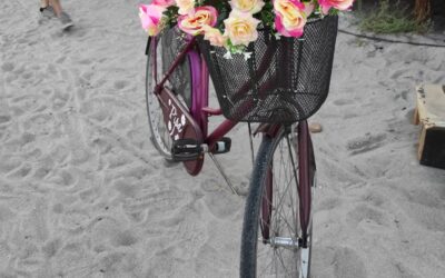 Il Ciclo Chic: Come Unire Stile e Sostenibilità Sulla Tua Bicicletta