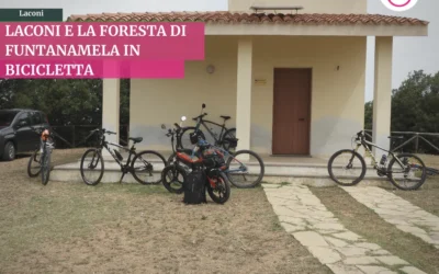 Esplorazione della Foresta di Laconi in Mountain Bike e Delizie della Cucina Sarda